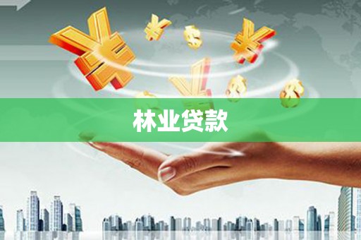 千阳林业贷款