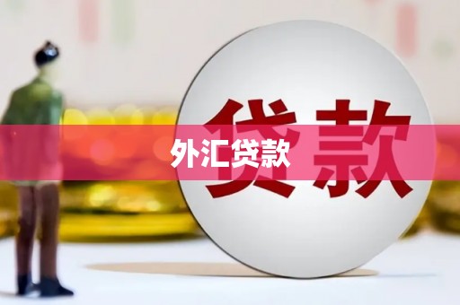 千阳外汇贷款