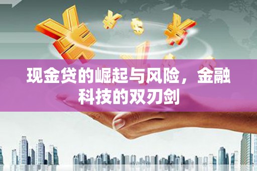 千阳现金贷的崛起与风险，金融科技的双刃剑