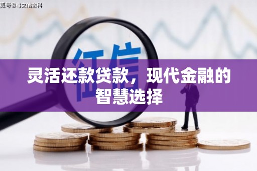 千阳灵活还款贷款，现代金融的智慧选择