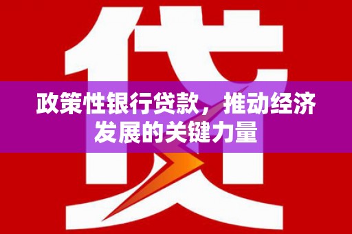 千阳政策性银行贷款，推动经济发展的关键力量