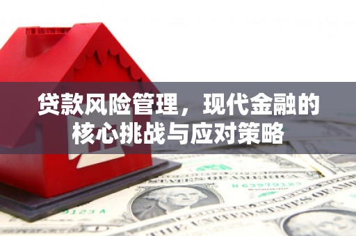 千阳贷款风险管理，现代金融的核心挑战与应对策略