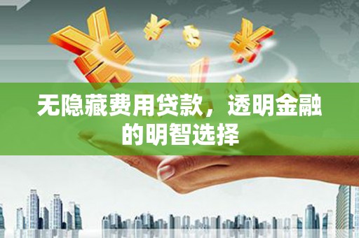 千阳无隐藏费用贷款，透明金融的明智选择