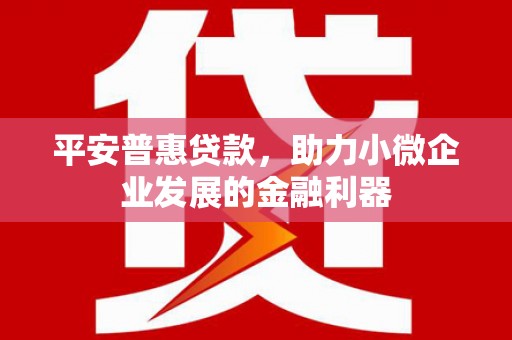 千阳平安普惠贷款，助力小微企业发展的金融利器