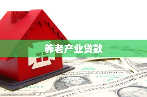 千阳养老产业贷款