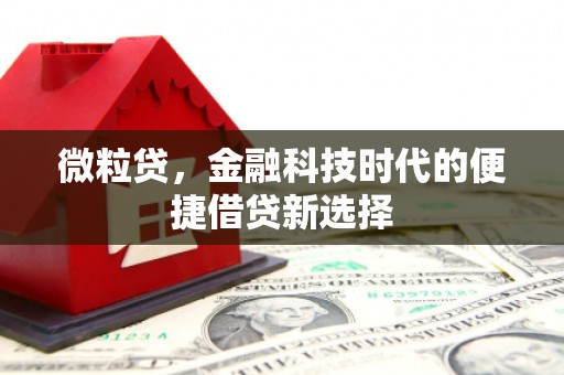 千阳微粒贷，金融科技时代的便捷借贷新选择