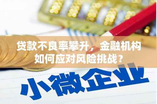 千阳贷款不良率攀升，金融机构如何应对风险挑战？