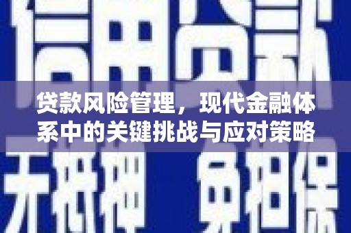 千阳贷款风险管理，现代金融体系中的关键挑战与应对策略