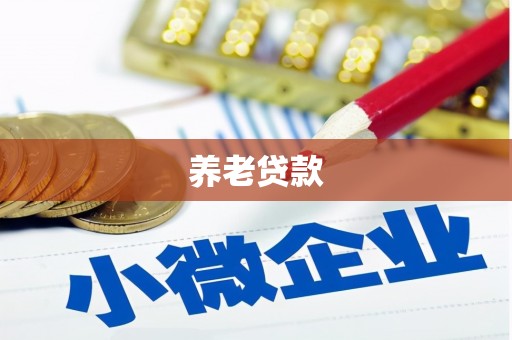 千阳养老贷款